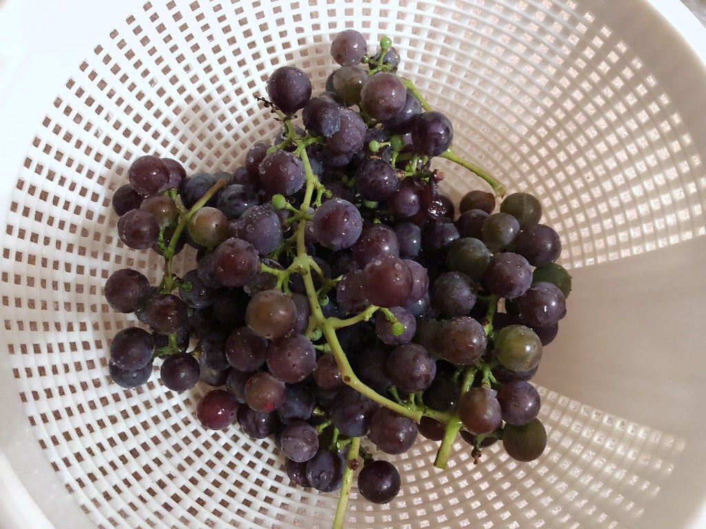 Tokaji bortúra tervezése: útvonalak, pincék és praktikus tippek